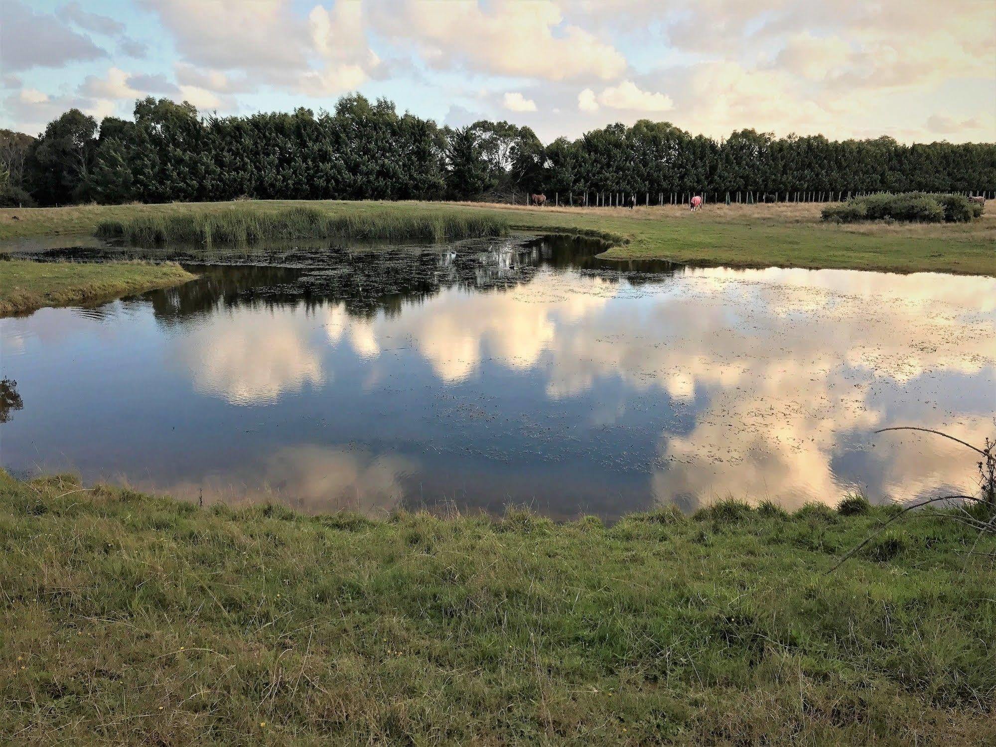 Woodbyne Resort Wimbledon Heights Bagian luar foto